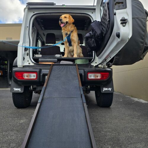 Dog Ramps South Africa - XL Folding Dog Ramp