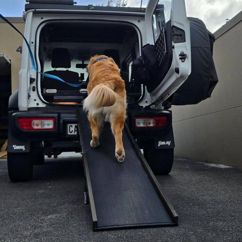 Train your Dog to use a Ramp