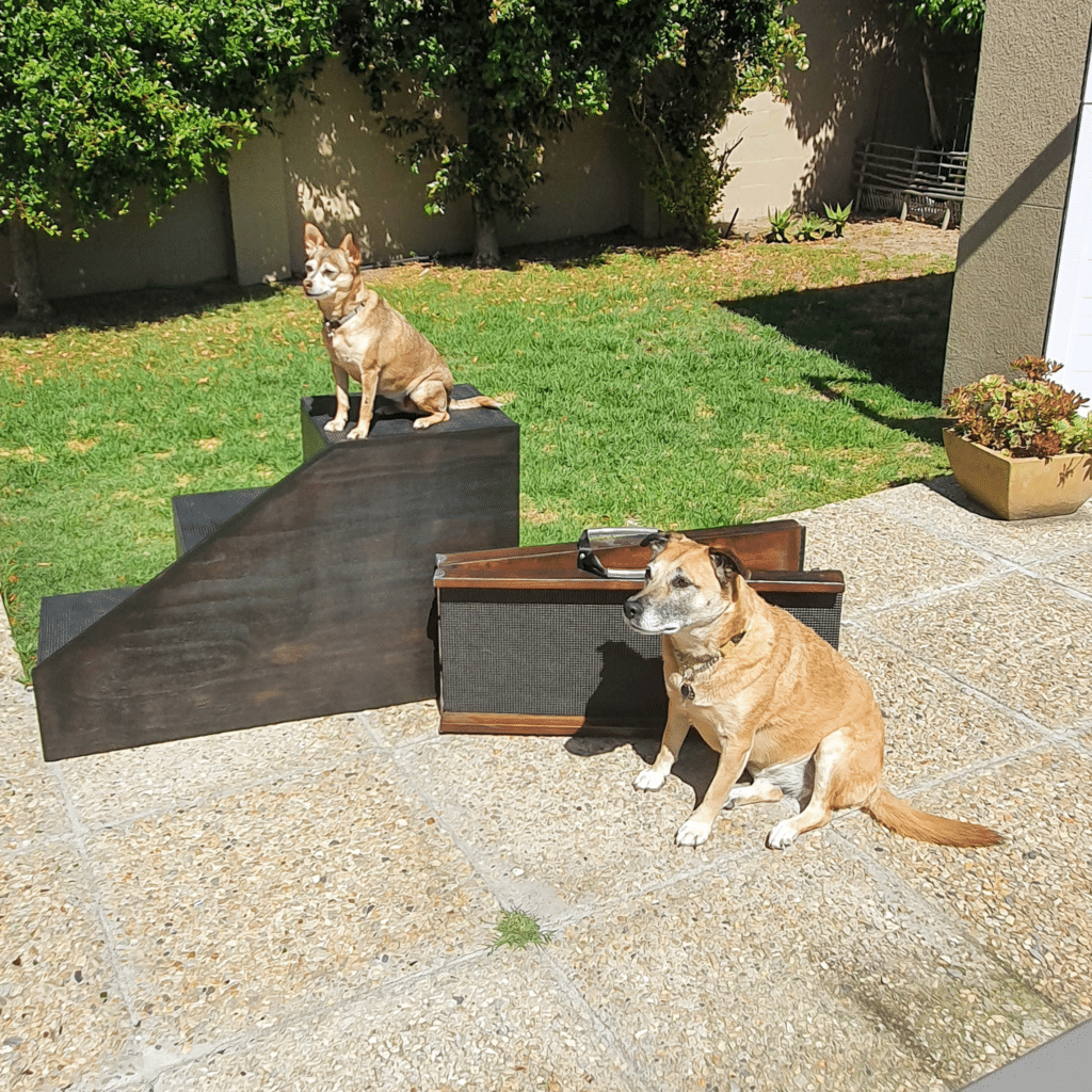 Dog Ramps vs Dog Steps - Which is the better option for your Dog?